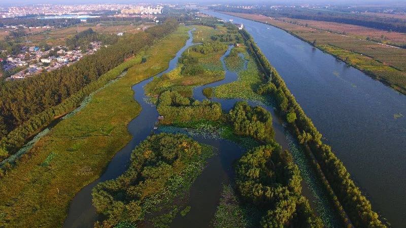 2018年第六届中国大运河（台儿庄）河钓大赛 竞赛规程