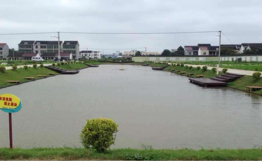 2020年中华垂钓大赛上海市&ldquo;金桥杯&rdquo;垂钓群英赛
