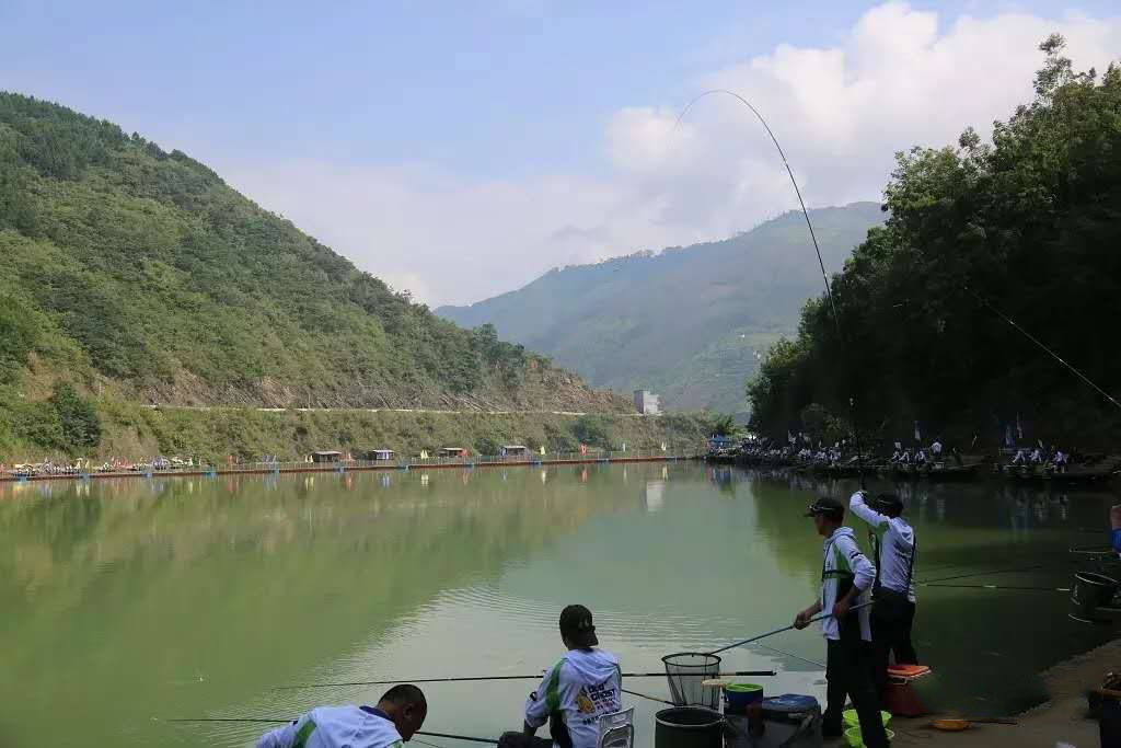 2016年中国隆林江钓大赛 竞赛规程