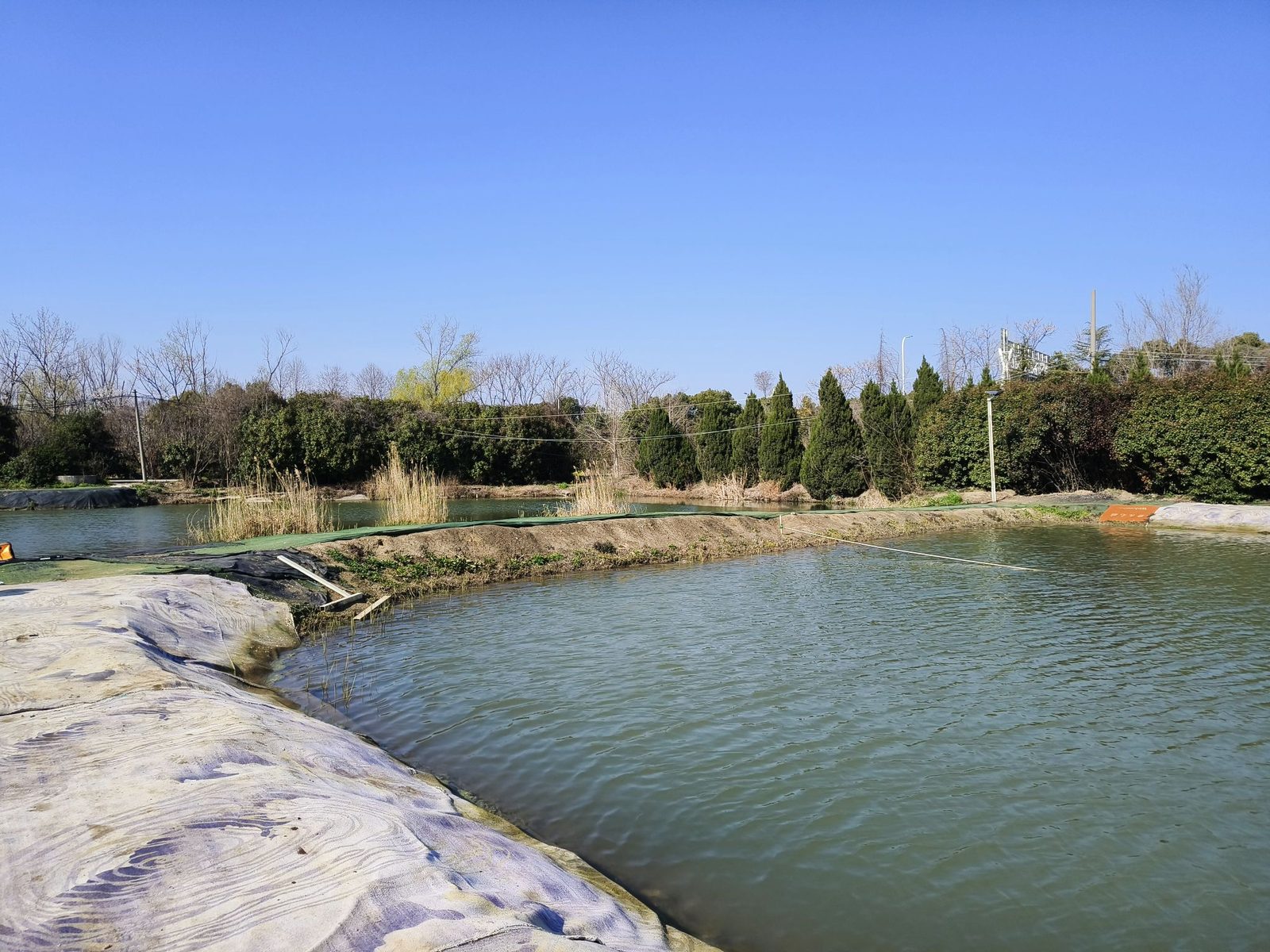 南京市江宁区大宝钓场
