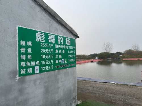 彪哥钓场