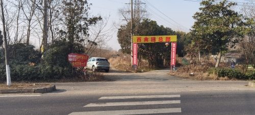 梦鱼垂钓