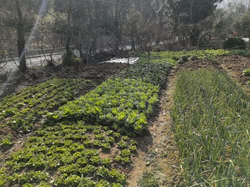 桃花源休闲垂钓中心