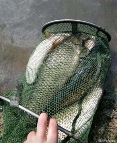 分水岭钓场