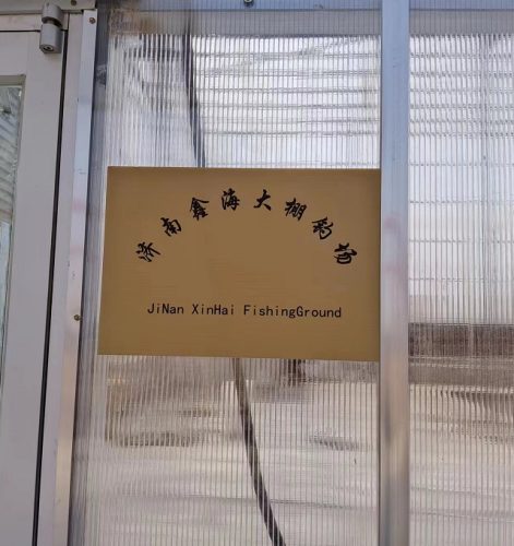 济南鑫海大棚钓场