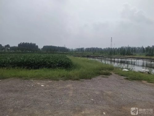 田山垂钓园
