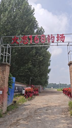 大志168钓场