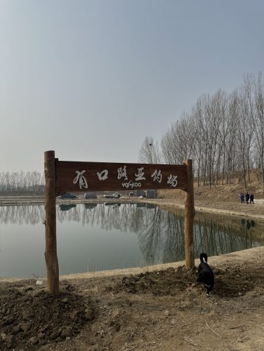 有口路亚钓场
