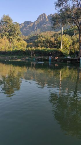 活水垂钓