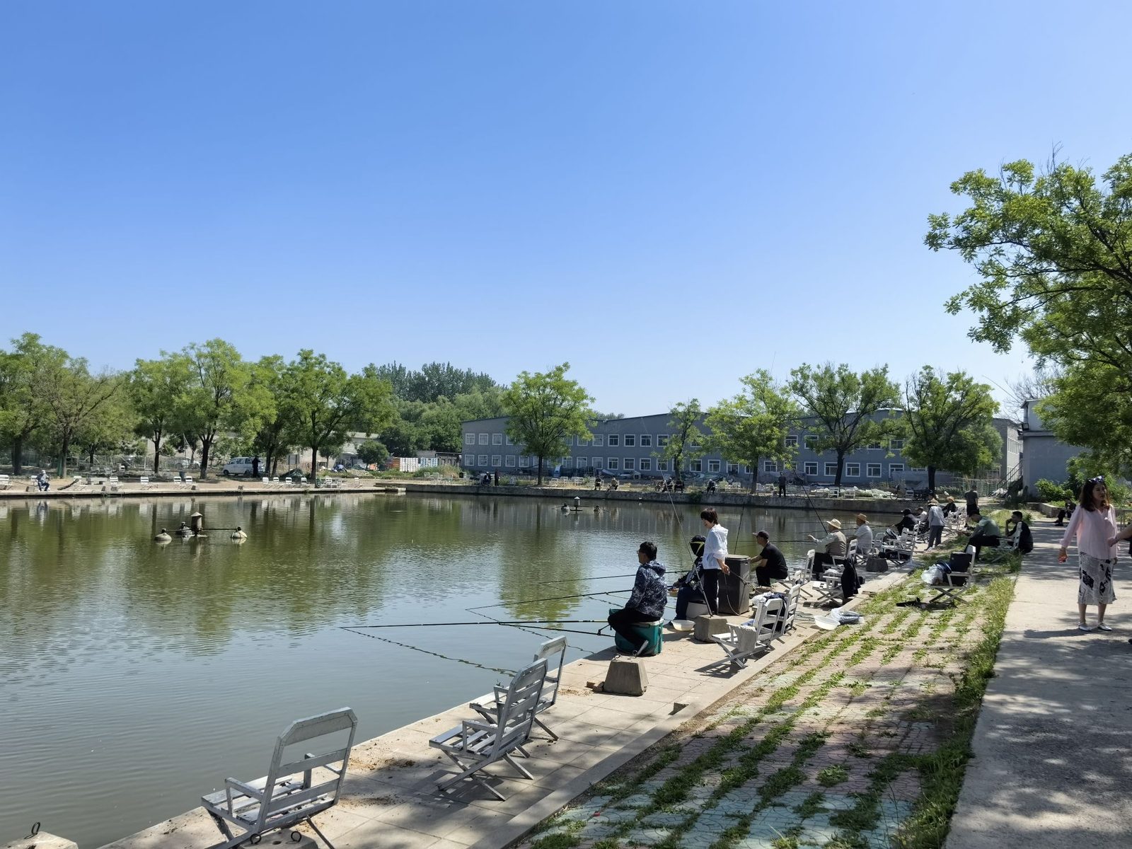 常兴庄渔场