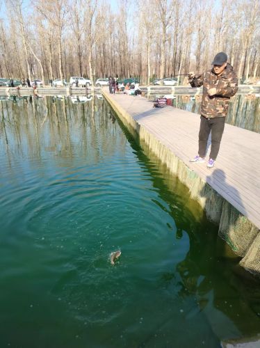 绿水青山休闲垂钓园