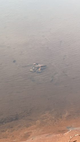 北地钓场