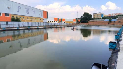 铸造垂钓园
