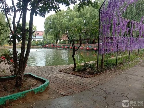 星百花垂钓园