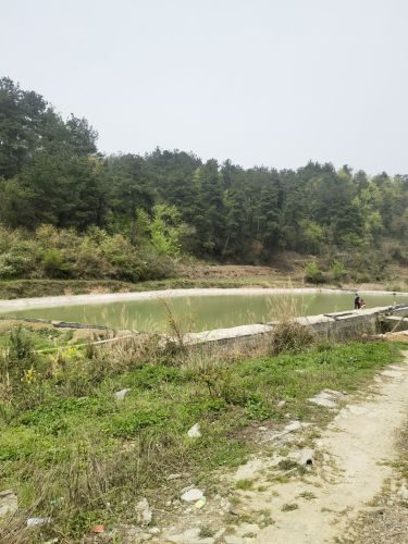 冷水村垂钓园
