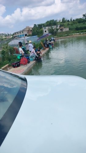 杉一斌哥钓场