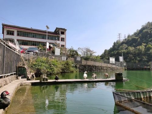 杨柳冲水库休闲垂钓中心