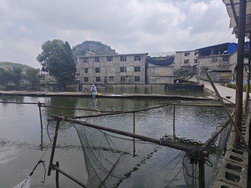 晨曦垂钓园