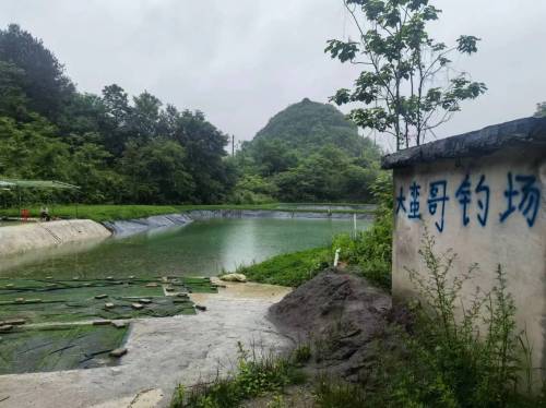 大蛮哥钓场