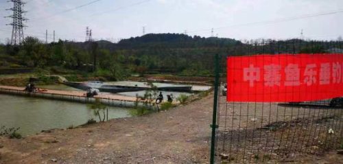 中寨鱼乐垂钓园