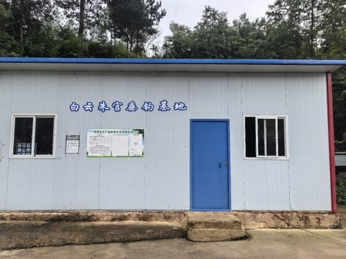 白云朱官垂钓基地