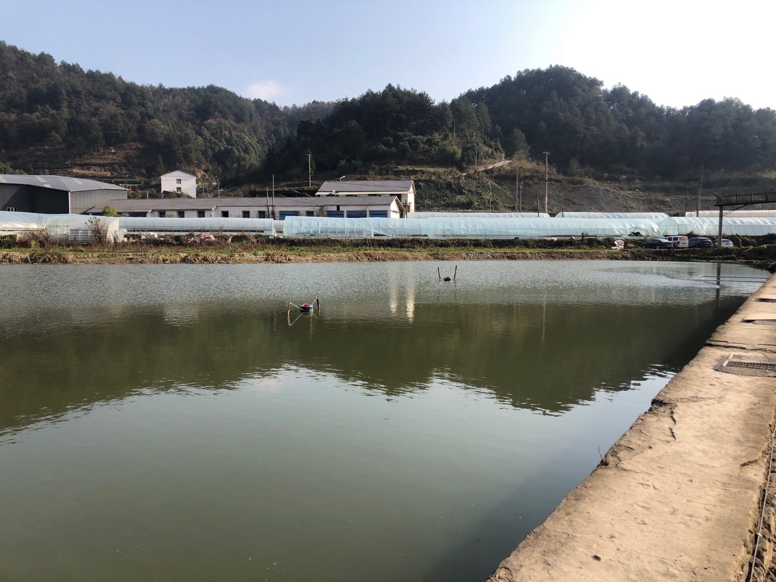 柳丝休闲垂钓园
