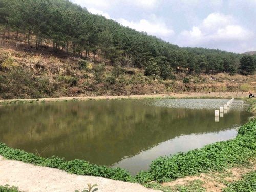 河溪垂钓园