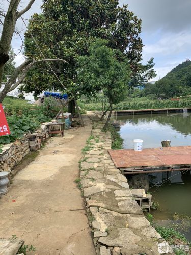鑫尘农家垂钓场