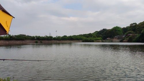花港休闲钓场