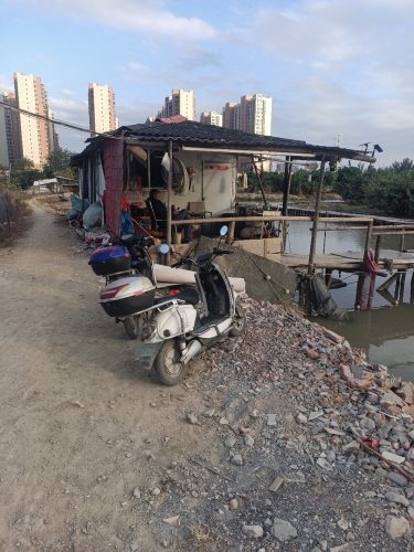 洋埭休闲钓场