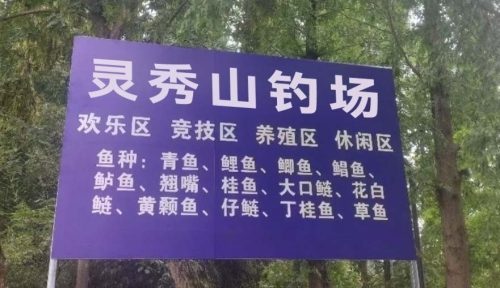 灵秀山晨风钓场