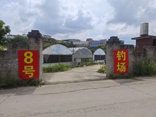8号钓场