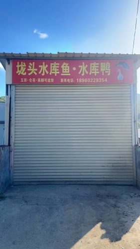 垅头水库钓场