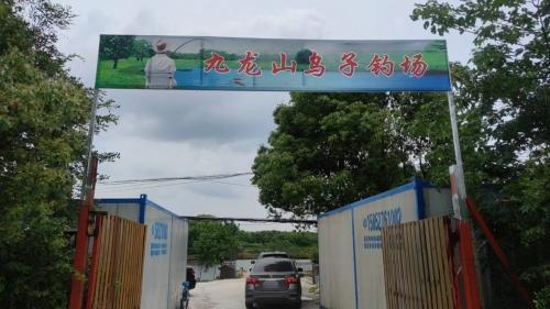 九龙山乌子钓场