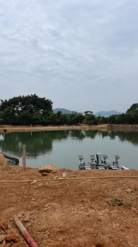 福清龙山森鱼乐园垂钓路亚钓鱼场