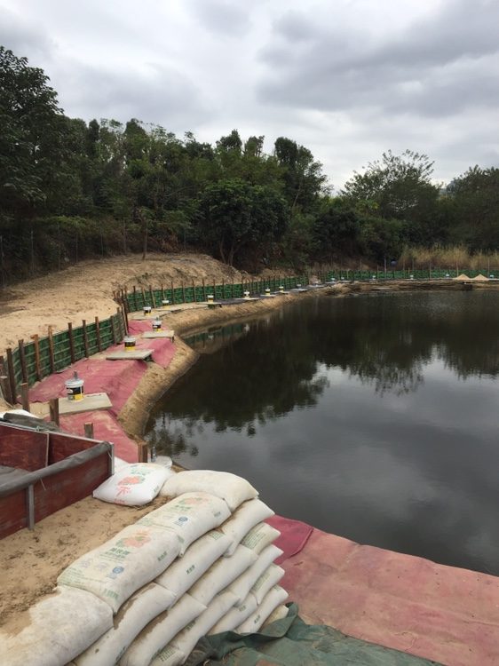 福州小小活水钓鱼台