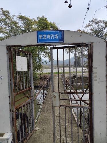 聚龙湾钓场
