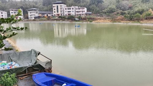 古岸钓场(青鱼塘)