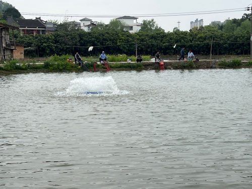 环溪垂钓园