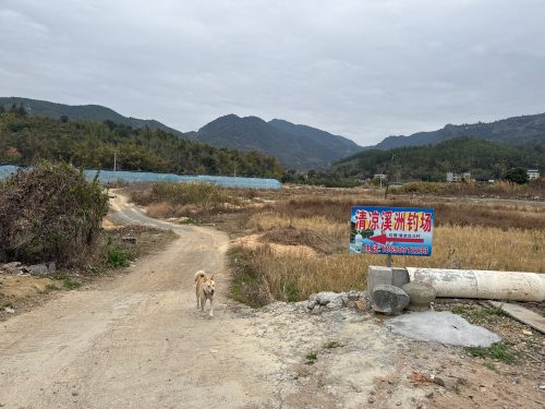 清凉溪洲钓场