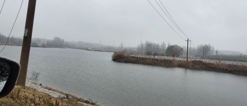 刁家岭钓场