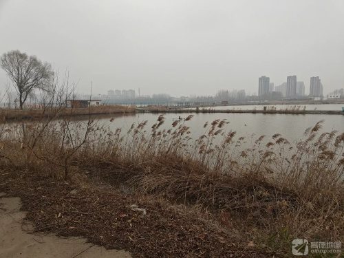 小景要村老卢钓场