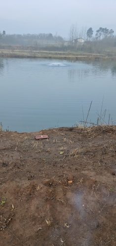 关湾四队休闲钓场