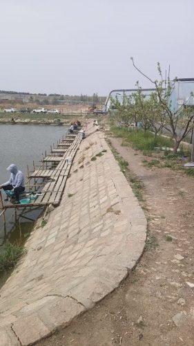愉悦垂钓园