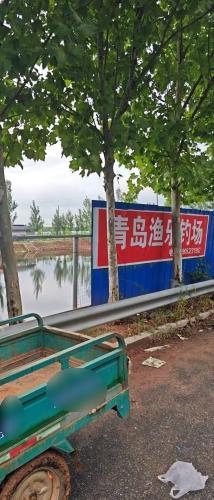青岛渔乐钓场有限公司
