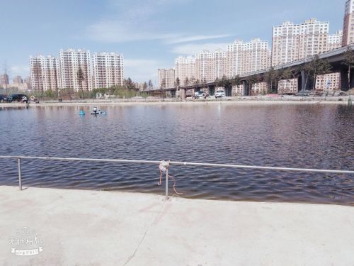 龙鱼湾钓场