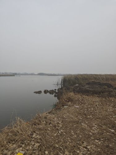 年年有鱼野钓场