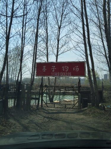 喜子钓场