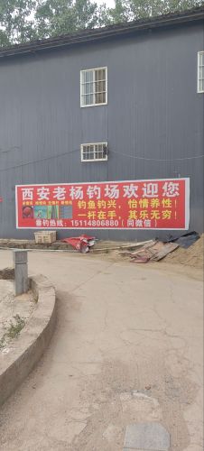 西安老杨钓场(樊寨店)