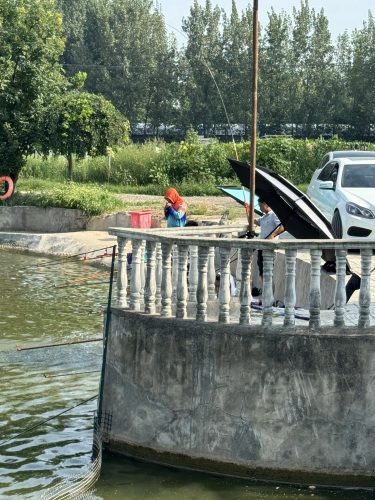 闲来垂钓园